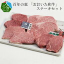 【ふるさと納税】百年の恵 「おおいた和牛」 ステーキセット約800g 国産 牛肉 豊後牛 ブランド牛 肉質4等級以上 ロース モモ カルビ ヒレ ロースステーキ ヒレステーキ モモステーキ 牛カルビステーキ 食べ比べ 詰め合わせ ギフト 数量限定 冷凍 A01066