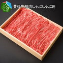 【ふるさと納税】豊後牛肩肉しゃぶしゃぶ用約600g 国産牛 牛肉 ブランド牛 おおいた豊後牛 カタ 肩ロース 赤身 牛しゃぶ ギフト 冷凍 A01073