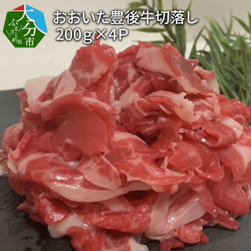 【ふるさと納税】おおいた豊後牛 切落し 200g × 4P 計 800g牛肉 肉 牛 国産 大分県産 ブランド牛 すき焼き 肉じゃが 牛丼 カレー 小分..