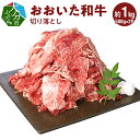 【ふるさと納税】おおいた和牛 切り落とし （500g×2パック 計約1.0kg） 国産 大分産 ブランド牛 豊後牛 肉質4等級以上 牛肉 切り落し 牛丼 すき焼き 焼肉 バーベキュー キャンプ 小分け 冷凍 BBQ 和牛 お取り寄せグルメ A01095