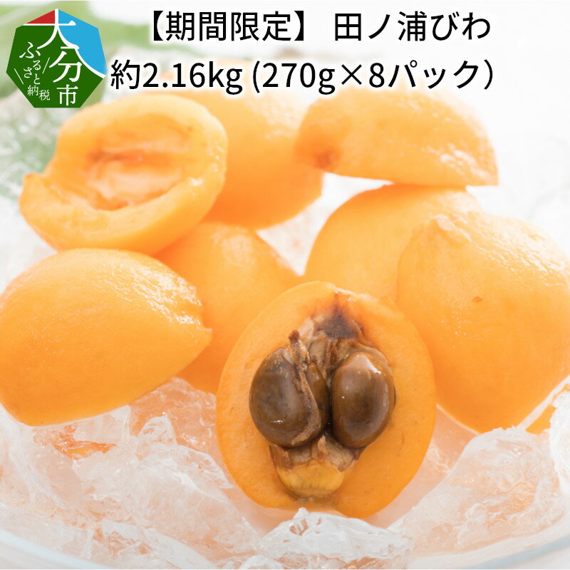 20位! 口コミ数「3件」評価「3.67」【期間限定】田ノ浦びわ 約2.16kg(270g×8パック）びわ 甘い フルーツ 大容量 季節限定 旬 デザート たっぷり みずみずしい ジ･･･ 