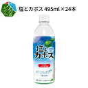 26位! 口コミ数「0件」評価「0」塩とカボス 495ml×24本 熱中症対策 ジュース カボス かぼす スポーツドリンク かぼす果汁 柑橘 はちみつ入り 酸味 水分補給 ペッ･･･ 