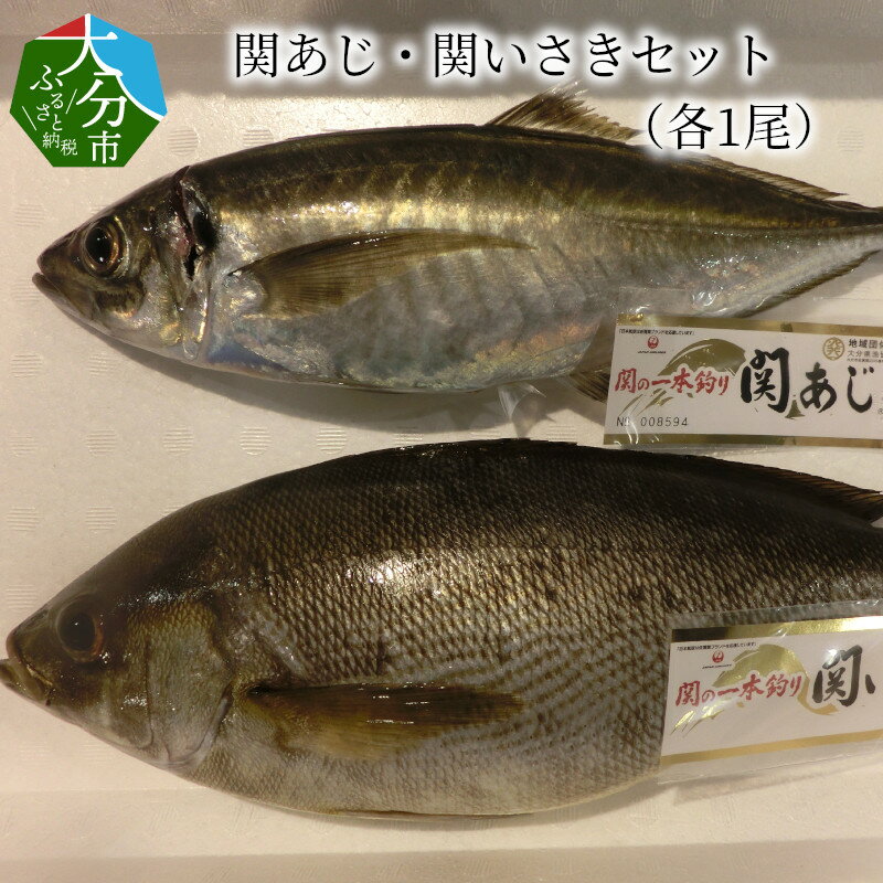 【ふるさと納税】【期間限定】関あじ・関いさき（鮮魚）セット（各1尾） 魚 鯵 イサキ 関あじ 約500g 関いさき 約700g セット 鮮魚 さかな お刺身 寿司 姿焼 塩焼き 食品 お取り寄せ グルメ お取り寄せグルメ ご当地グルメ ブランド魚 生もの 冷蔵 送料無料 E04022