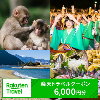 楽天ふるさと納税　【ふるさと納税】大分県大分市の対象施設で使える楽天トラベルクーポン 寄付額20,000円 ホテル 旅館 宿泊予約 旅行 予約 宿泊 観光 温泉 観光地 国内 旅行クーポン チケット 春 夏 秋 冬 ビジネス 出張 国内旅行 施設