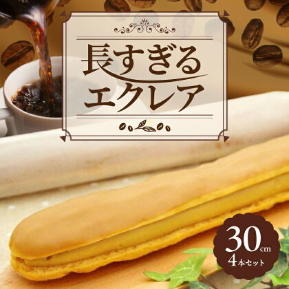 長すぎる エクレア 30cm × 4本 店頭売上 No.1 大人気 スイーツ クリーム アイスエクレア お菓子 洋菓子 インパクト デザート お取り寄せ パティスリー夢の樹 冷凍 グルメ おやつ おすすめ 大分 別府 送料無料