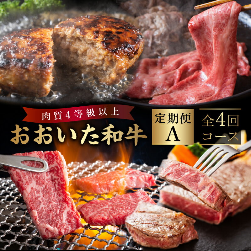 定期便 おおいた和牛 定期便A 牛肉 ビーフ 黒毛和牛 国産 ブランド牛 食品 加工品 豊後牛 焼肉 すき焼き サーロイン ステーキ ハンバーグ おかず お弁当 おつまみ BBQ バーベキュー ご褒美 お祝い 記念日 お取り寄せ グルメ 惣菜 大分県 別府市 送料無料