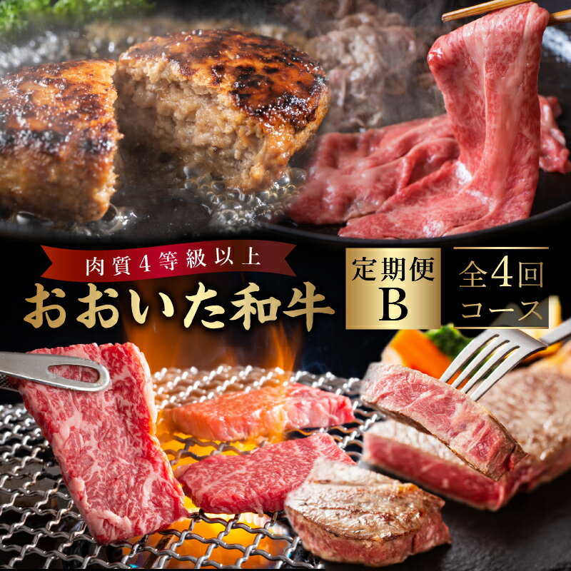 6位! 口コミ数「0件」評価「0」定期便 おおいた和牛 定期便B 牛肉 ビーフ 黒毛和牛 国産 ブランド牛 食品 加工品 豊後牛 焼肉 すき焼き サーロイン ステーキ ハンバ･･･ 