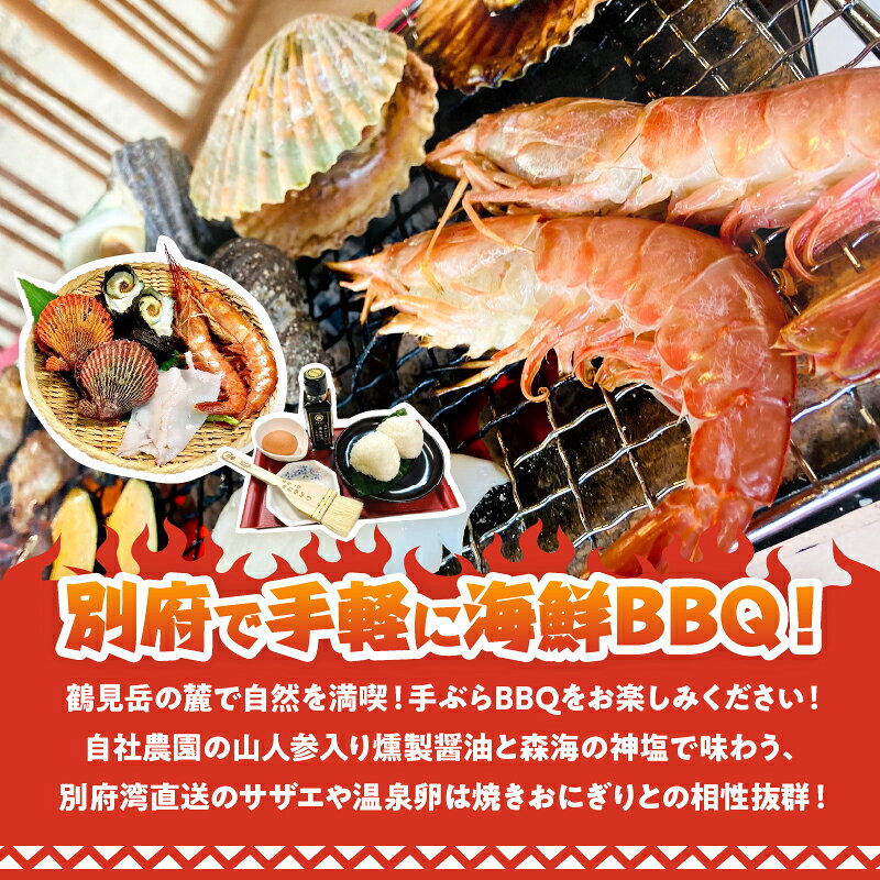 【ふるさと納税】海鮮 バーベキュー 体験 チケット 1名分 手ぶら BBQ 遠赤外線効果 炭火 天然食材 サザエ ヒオウギ貝 イカ エビ おにぎり 地獄蒸し たまご 炭 燻製醤油 森海の神塩 海の幸 大分県 別府市 送料無料 f442020-beppu-10000832 大分県別府市 サンプル画像2
