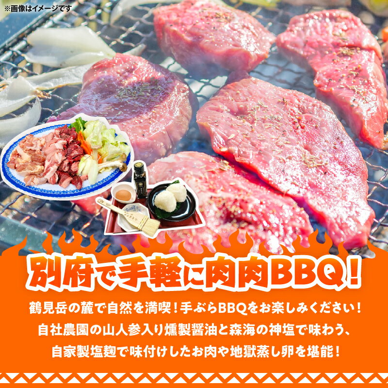 【ふるさと納税】肉 バーベキュー 体験 チケット 1名分 手ぶら BBQ 炭火 天然食材 牛肉 豚肉 鶏肉 ウインナー 野菜 地獄蒸し たまご 炭 燻製醤油 森海の神塩 温泉 足湯 源泉かけ流し 大分県 別府市 送料無料 2