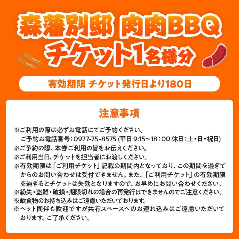 【ふるさと納税】肉 バーベキュー 体験 チケット 1名分 手ぶら BBQ 炭火 天然食材 牛肉 豚肉 鶏肉 ウインナー 野菜 地獄蒸し たまご 炭 燻製醤油 森海の神塩 温泉 足湯 源泉かけ流し 大分県 別府市 送料無料 3