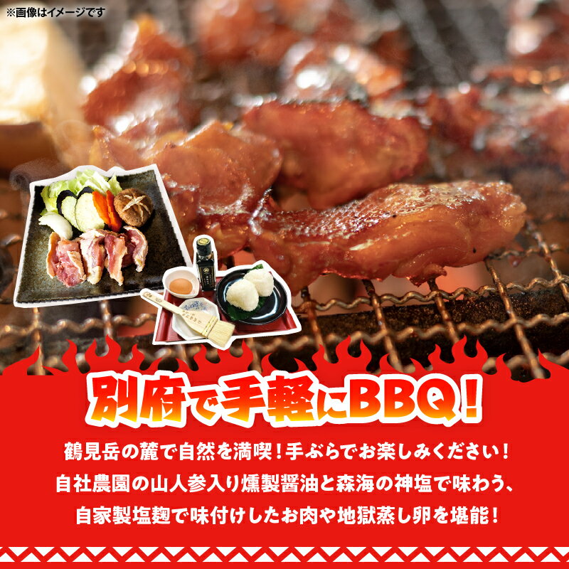 【ふるさと納税】赤鶏 炭火焼 体験 チケット 1名分 食事券 手ぶら BBQ 炭火 天然食材 200g ご飯 味噌汁 漬物 燻製醤油 森海の神塩 地獄蒸したまご 火おこし不要 温泉 足湯 源泉かけ流し 大分県 別府市 送料無料 2