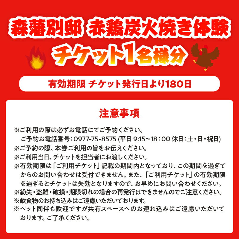 【ふるさと納税】赤鶏 炭火焼 体験 チケット 1名分 食事券 手ぶら BBQ 炭火 天然食材 200g ご飯 味噌汁 漬物 燻製醤油 森海の神塩 地獄蒸したまご 火おこし不要 温泉 足湯 源泉かけ流し 大分県 別府市 送料無料 3
