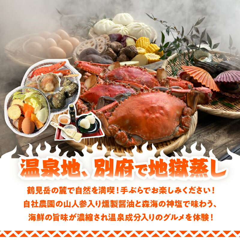【ふるさと納税】地獄蒸し 体験 チケット 1名分 手ぶら BBQ 炭火 天然食材 旬 活貝セット サザエ ヒオウギ貝 野菜 たまご 燻製醤油 森海の神塩 温泉 足湯 源泉かけ流し お食事 グルメ 大分県 別府市 送料無料