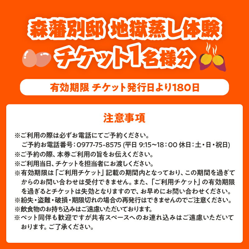 【ふるさと納税】地獄蒸し 体験 チケット 1名分 手ぶら BBQ 炭火 天然食材 旬 活貝セット サザエ ヒオウギ貝 野菜 たまご 燻製醤油 森海の神塩 温泉 足湯 源泉かけ流し お食事 グルメ 大分県 別府市 送料無料