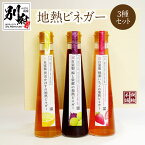 【ふるさと納税】地熱 ビネガー 3種 セット 200ml 3本 酢 フルーツ酢 いちご カボス 梅 紫蘇 酎ハイ ハイボール ビネガービール 甘酒 豆乳 かき氷のシロップ 飲み比べ 贈答品 プレゼント 鉄輪温泉 地獄蒸し お土産 ご当地 別府 大分県 送料無料