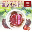 【ふるさと納税】温泉うめぼし 100g × 3個 ギフト 梅干し 大分県産 国産 梅 紫蘇 鉄輪温泉 美人の湯 昔ながら 保存料 添加物 不使用 ご飯のお供 梅肉和え 美味しい 地元農家 食品 おにぎり お弁当 手土産 お土産 プレゼント 大分県 別府市 送料無料
