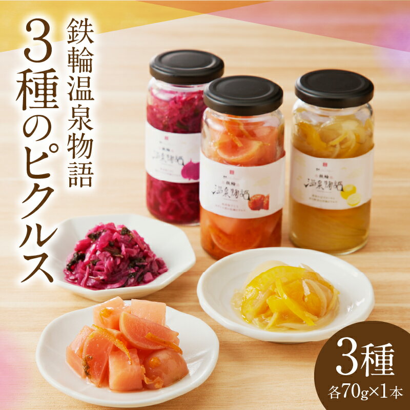 【ふるさと納税】ピクルス 3種 詰め合わせ セット 鉄輪 温泉 物語 鉄輪本舗 野菜 Oita Pickles コラボレーション 彩り 風味 温泉うめぼし 柚子 大根 和風 黄金かぼす ピール 洋風 温泉紫蘇 紫…