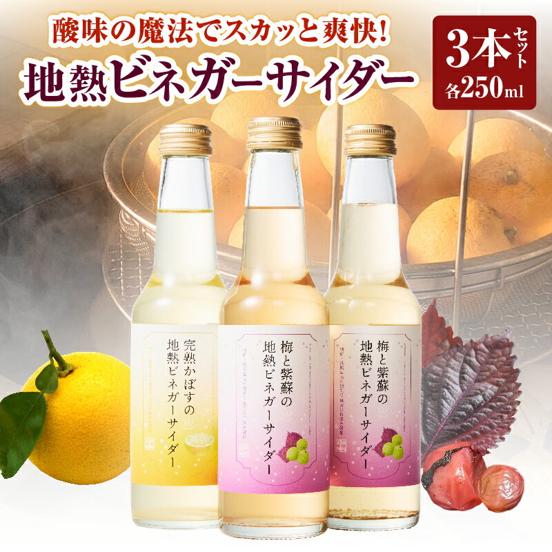 地熱 ビネガー サイダーセット 3本 完熟かぼす カボス 梅 紫蘇 酎ハイ ハイボール ビネガービール りんご酢 果実酢 熟成 酸味 甘味 清涼感 飲み比べ 贈答品 プレゼント 鉄輪本舗 地獄蒸し 温泉水 お土産 ご当地 人気 おすすめ 別府 大分県 送料無料