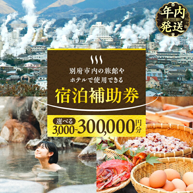 [年内発送]≪選べる返礼品≫ 楽しい旅の思い出を! 宿泊券 大分県 別府市 ホテル 旅館 温泉 旅行 観光 トラベル 宿泊補助券 チケット クーポン 宿泊 お泊り 別府温泉 別府観光 大分観光 地獄めぐり 地獄蒸し料理 旅 おすすめ 人気 お出かけ 体験型 節約
