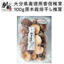 【ふるさと納税】訳あり 干し しいたけ 100g 徳用 八宝堂 こうしん椎茸 原木栽培 大分県産 バラ寿司 巻き寿司 お徳用 国内産 九州産 ギフト 贈り物 贈...