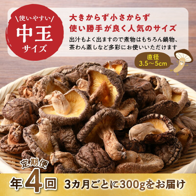 【ふるさと納税】定期便 4回 3ヵ月に1回 訳あり どんこ 椎茸 中玉 300g 大分県産 原木栽培 干し椎茸 肉厚 しいたけ 国産 きのこ 不揃い 乾燥しいたけ ご家庭用 ご自宅用 出汁 煮物 鍋 茶碗蒸し 炒め物 食品 食材 和食 お取り寄せ グルメ おすそ分け 産地直送 別府市 送料無料