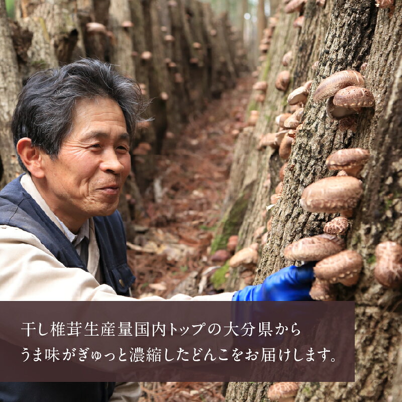 【ふるさと納税】椎茸 大分県産 乾しいたけ どんこ 350g 原木椎茸 ブリッとした 食感 歯ごたえ 和食 出汁 煮物 鍋物 中華炒め 茶碗蒸し 肉詰め揚げ 食品 国産 常温配送 やまよし 大分県 別府市 お取り寄せ 送料無料