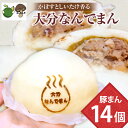 【ふるさと納税】あたためるだけ!! ふわっもちっの手作り豚まん 大分なんでまん 14個 惣菜 加工品 食品 お肉 豚肉 簡単料理 レンチン 冷凍 豚まん 肉まん...