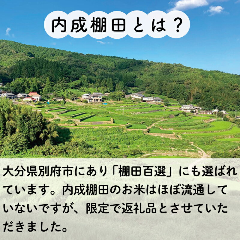 令和4年産棚田で育った特Aさがびより20キロ新米