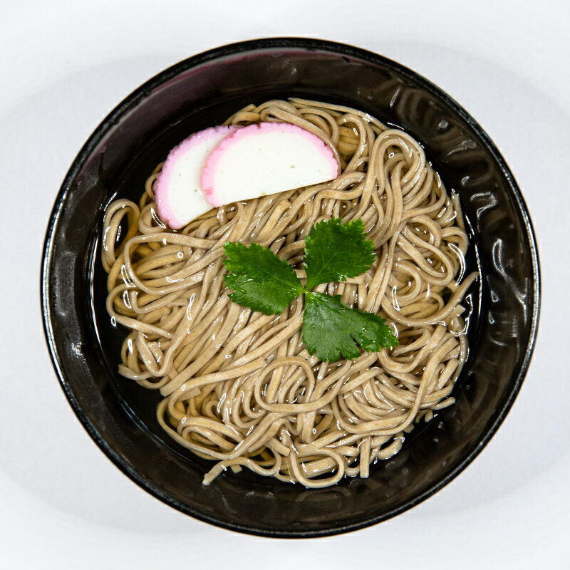 【ふるさと納税】日本 蕎麦 セット 10食分 歴史 技術 詰まった 麺 香りが良い 玄蕎麦 使用 そばつゆ 蕎麦出汁 食品 大正 5年 創業 麺喰家 つちや製麺 冷蔵配送 大分県 別府市 お取り寄せ お取り寄せグルメ 送料無料