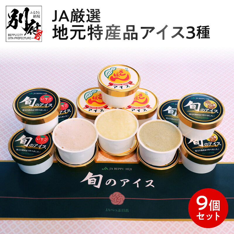 【ふるさと納税】アイス アイスクリーム 地元特産品 3種 9