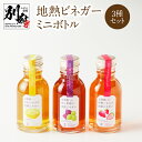 3位! 口コミ数「0件」評価「0」地熱ビネガー ミニボトル 105ml 3種 セット フルーツ 果物 くだもの 酢 調味料 いちご かぼす 梅 うめ 紫蘇 しそ 鉄輪 温泉 ･･･ 