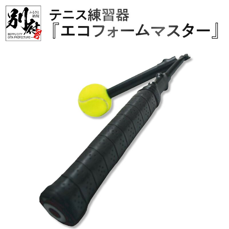 【ふるさと納税】テニス練習器 エコフォームマスター 