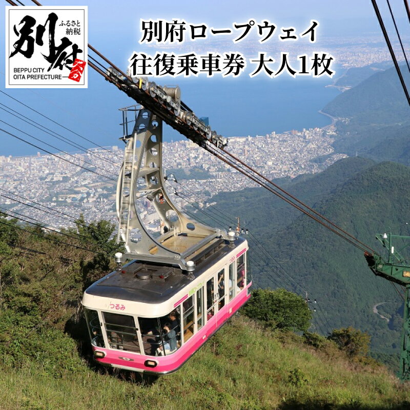 【ふるさと納税】別府 ロープウェイ 往復 乗車券 大人 1枚 阿蘇くじゅう国立公園 鶴見岳 ミヤマキリシ...