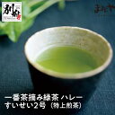 【ふるさと納税】一番茶 摘み 緑茶 
