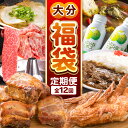 【ふるさと納税】【定期便12回】なかつ満喫福袋 | 生ラーメン ラーメン みたらし団子 手羽焼き スペアリブ 飲むヨーグルト ヨーグルト 中津からあげ からあげ...