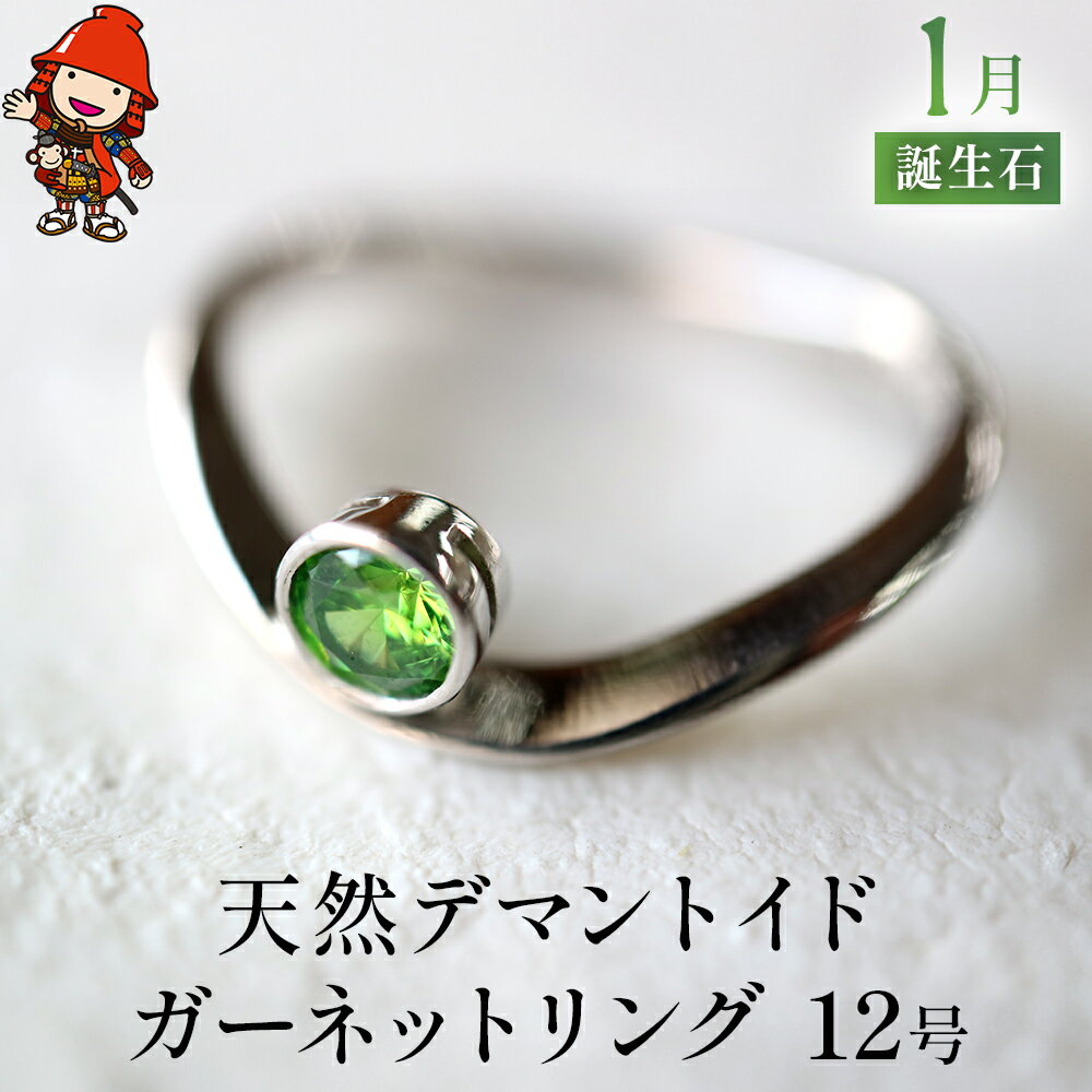 【ふるさと納税】天然デマントイドガーネット 指輪 リング 12号 レディース PT900 プラチナ アクセサリー 婚約指輪 プロポーズ 結婚指輪 誕生日 婚約 結婚 母の日 プレゼント 祝 記念日 女性 贈り物 大分県産 九州産 中津市 国産 送料無料