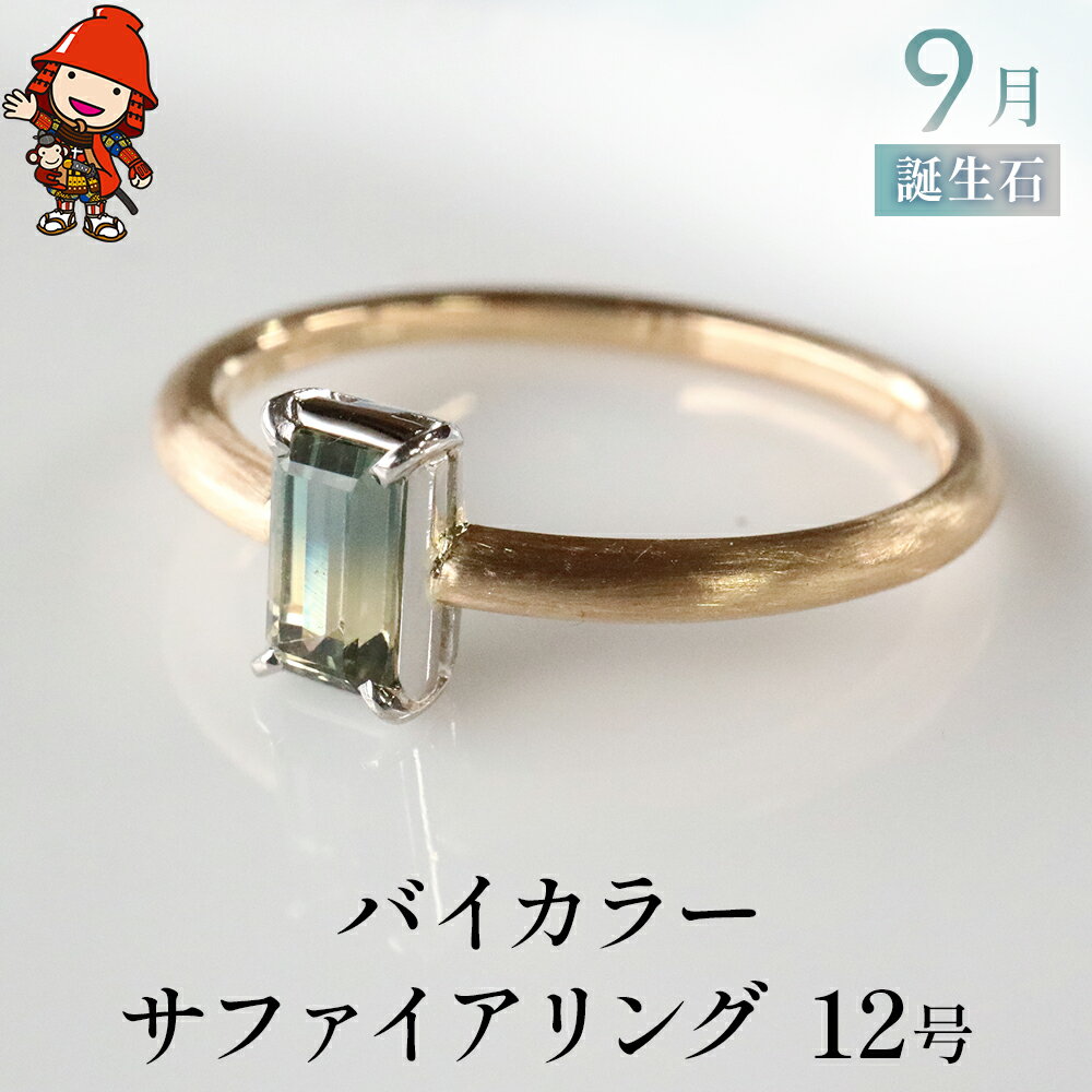 【ふるさと納税】バイカラーサファイア 指輪 リング 12号 レディース K18 PT900 プラチナ アクセサリー 婚約指輪 プロポーズ 結婚指輪 誕生日 婚約 結婚 母の日 プレゼント 祝 記念日 女性 贈り物 大分県産 九州産 中津市 国産 送料無料