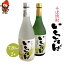 【ふるさと納税】耶馬渓そば焼酎(いちそば)720ml×2本 大分県 中津市の美味しい 地酒 大分県 中津産 九州 送料無料/熨斗対応可 お歳暮 お中元 など 年末 年越し お正月 おせち 14,000円