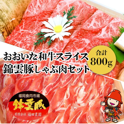 豊後牛 錦雲豚 しゃぶしゃぶ セット 合計800g 牛スライス肉(400g) 豚バラ肉(200g) 豚ロース肉(200g) セット 詰め合わせ おおいた豊後牛 黒毛和牛 牛肉 冷凍 豚肉 九州産 国産 送料無料／熨斗対応可 お歳暮 お中元 など