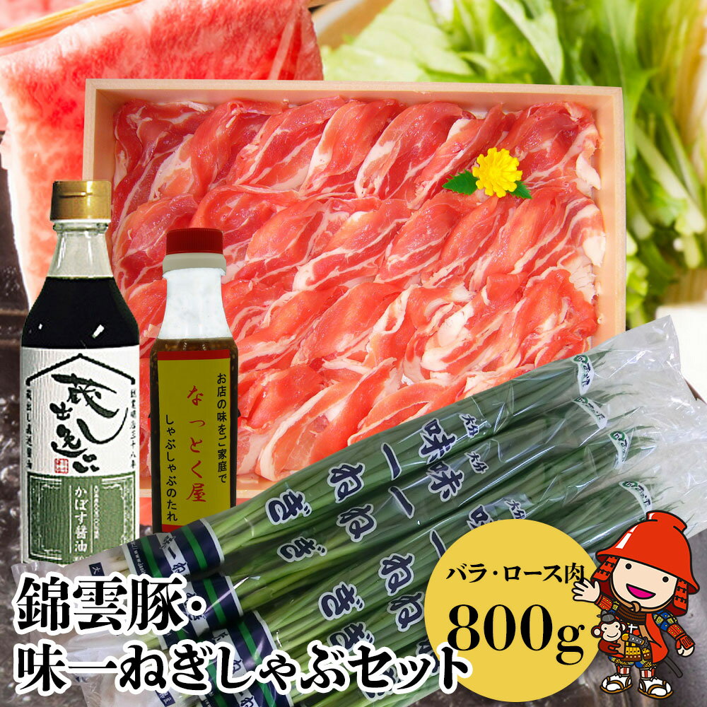 肉セット 【ふるさと納税】錦雲豚 味一ねぎ しゃぶしゃぶ セット 豚バラ肉・ロース肉(800g) 小ねぎ 万能ねぎ 青ねぎ かぼすポン酢しょうゆ 詰め合わせ 九州産 国産 送料無料 ／熨斗対応可 お歳暮 お中元 など