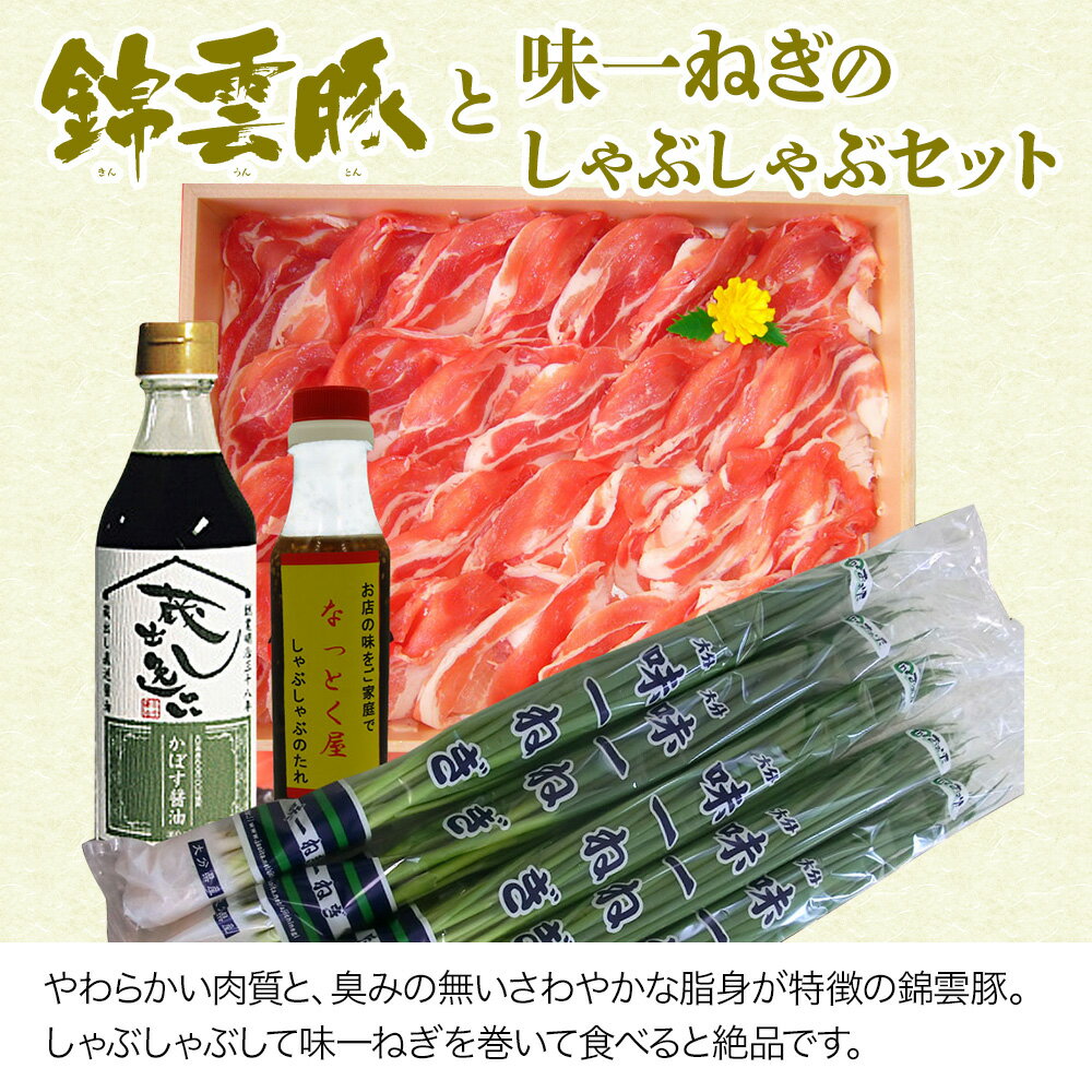 【ふるさと納税】錦雲豚 味一ねぎ しゃぶしゃぶ セット 豚バラ肉・ロース肉(800g) 小ねぎ 万能ねぎ 青ねぎ かぼすポン酢しょうゆ 詰め合わせ 九州産 国産 送料無料 ／熨斗対応可 お歳暮 お中元 など