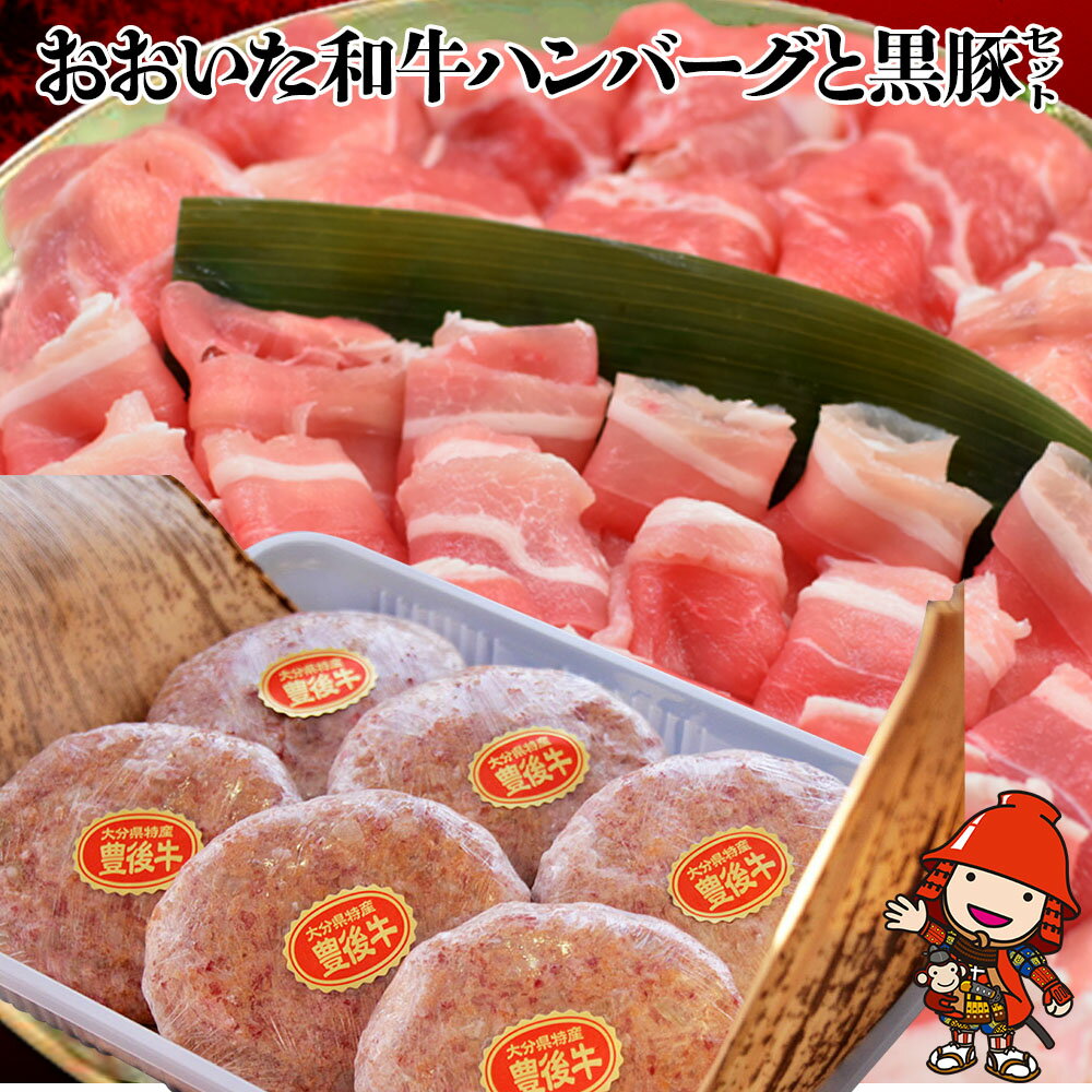 【ふるさと納税】 豊後牛ハンバーグと黒豚セット 牛肉 豊後牛