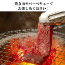 【ふるさと納税】C2.豊後牛焼肉用カルビセット 700g 和牛 牛肉 焼き肉セット 焼肉 大分県ブランド肉 豊国畜産ぶんごや 大分県産 九州産 中津市 国産 送料無料／熨斗対応可 お歳暮 お中元 など 3