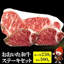 【ふるさと納税】おおいた和牛ステーキセット ロース250g ヒレ300g(150g×2) | 和牛 牛肉 すき焼き肉 焼き肉 ステーキ 大分県産 九州産 中津市...