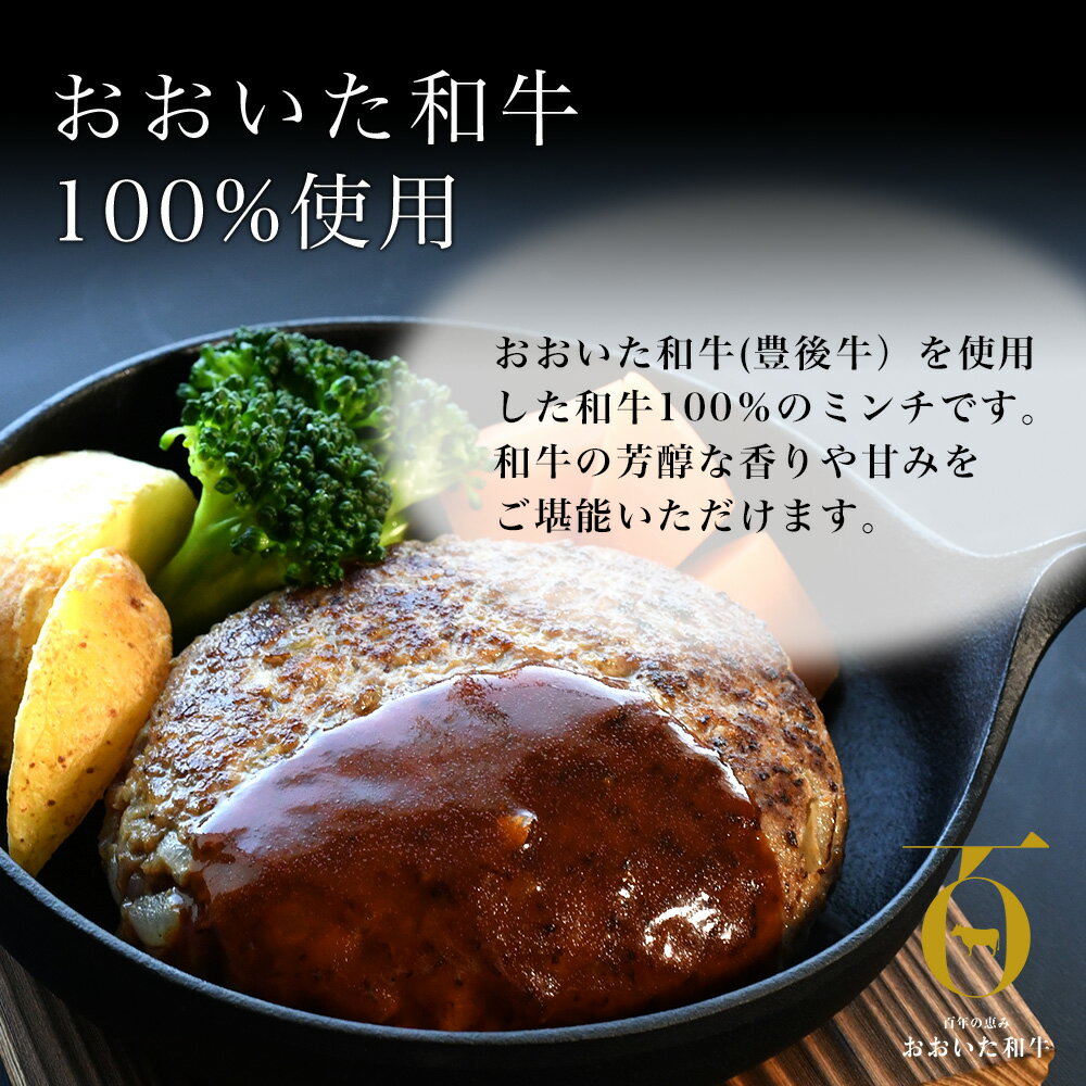 【ふるさと納税】 おおいた 和牛 100％ ミンチ 1kg ( 500g×2 ) | 和牛 挽肉 ひき肉 豊後牛 大分県産 小分け 国産 冷凍 送料無料