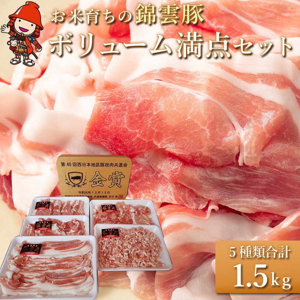 【ふるさと納税】ボリューム満点 錦雲豚 ブランド肉 5種類 合計1.5kg セット ロース バラ肉 もも うで ミンチ ブランド豚 九州産 大分県産 中津市 国産 冷凍 送料無料