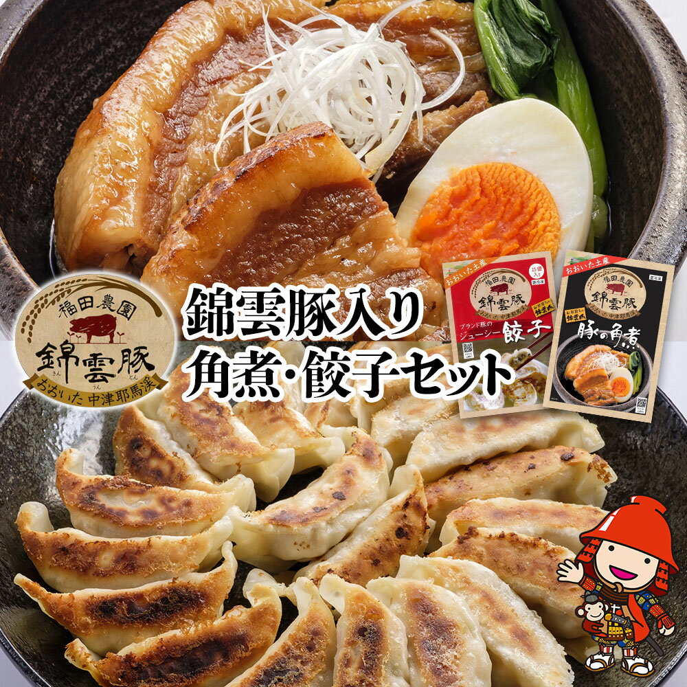 【ふるさと納税】錦雲豚 角煮250g×2 餃子15個入り×2