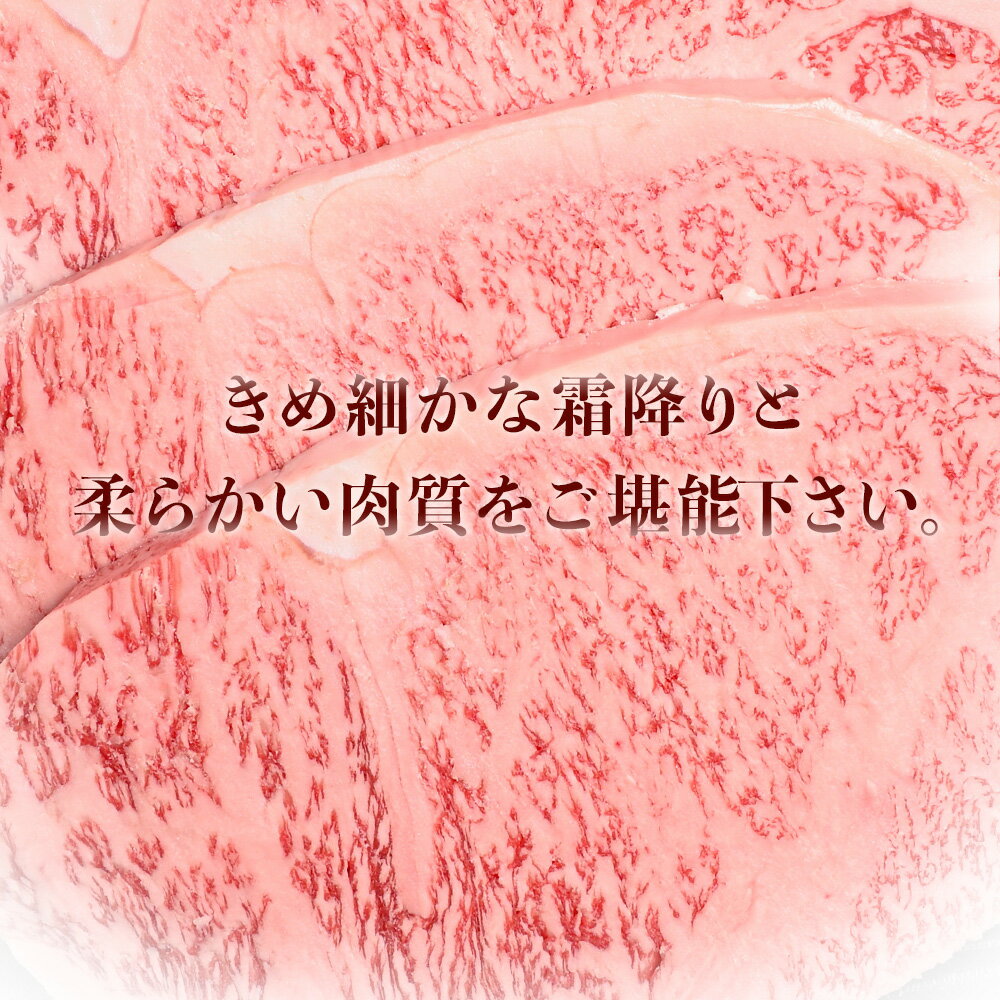 【ふるさと納税】【定期便】おおいた和牛 A5等級 サーロインステーキ ソース付き 6回コース 合計4.8kg 豊後牛 サーロイン ステーキ 和牛 牛 A5 冷凍 送料無料