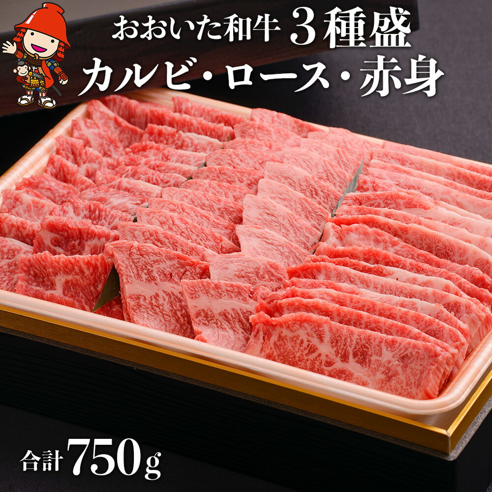 おおいた和牛 3種盛 カルビ ロース 赤身 合計750g (250g×3) 豊後牛 焼肉 焼き肉 肉質 4等級以上 小分け お肉 肉 和牛 国産 九州産 大分県産 冷凍 送料無料