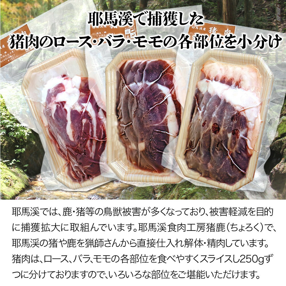 【ふるさと納税】 耶馬溪ジビエセット 猪肉 ロース バラ肉 もも肉 各250g スライス肉 いのしし肉 猪 焼肉 焼き肉セット 大分県産 九州産 国産 冷凍 送料無料／熨斗対応可 お歳暮 お中元 など